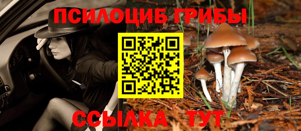 Асино  Галлюциногенные грибы Psilocybine cubensis  Вход с VPN 