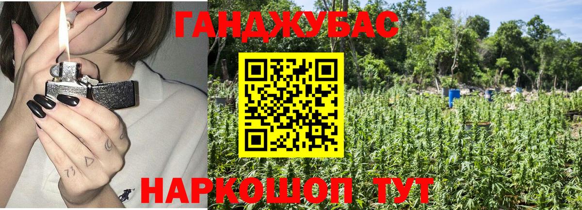 Асино  Шишки марихуана план  Бошки марихуана Bruce Banner  Вход с VPN 